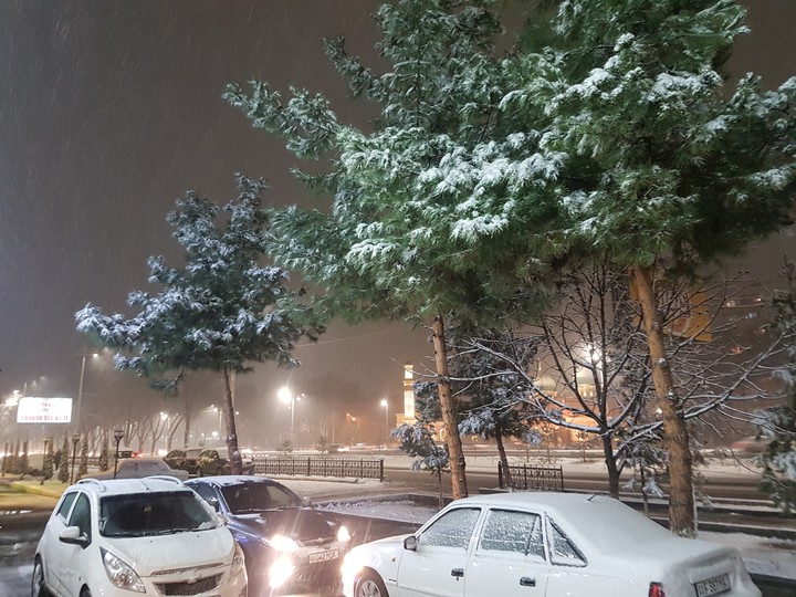 Winter