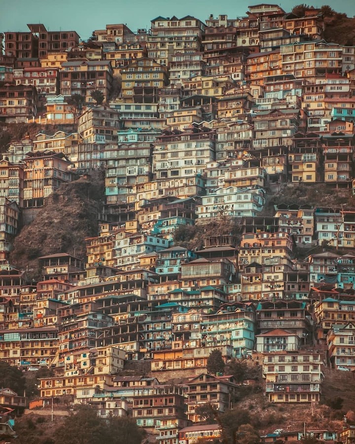Shimla