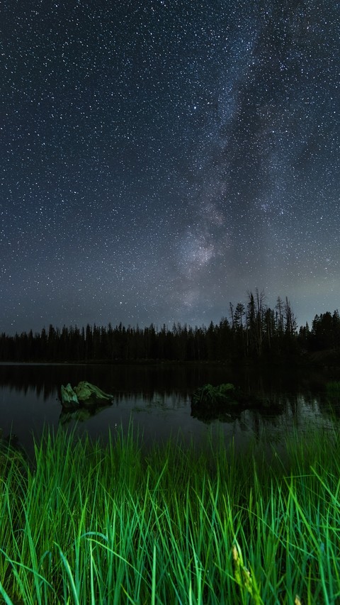 Awesome green Gras and stary Night
