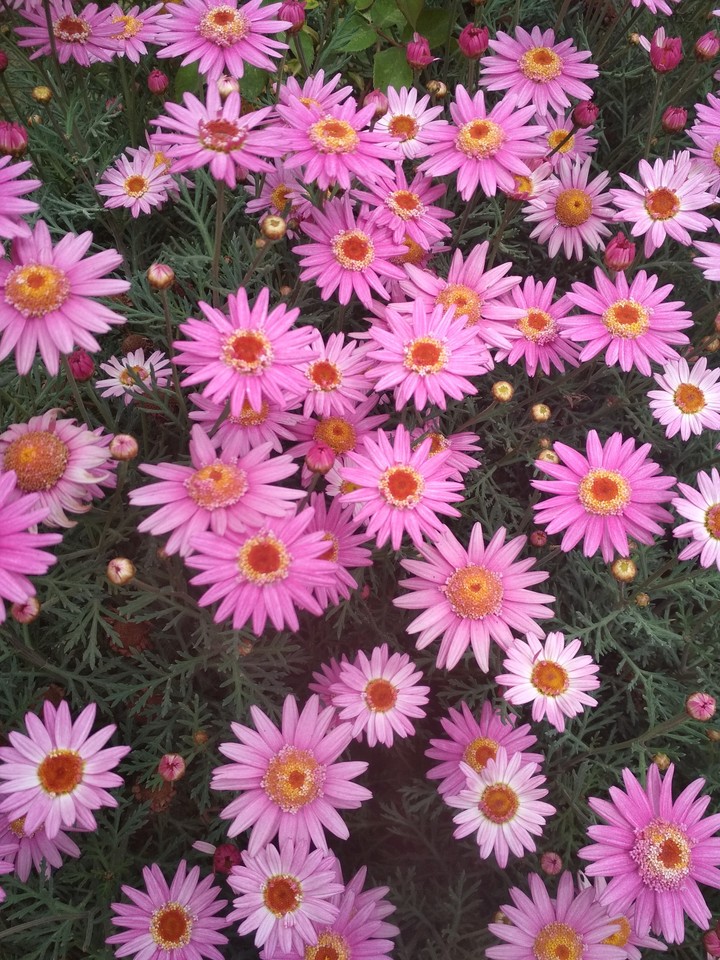 beautiful