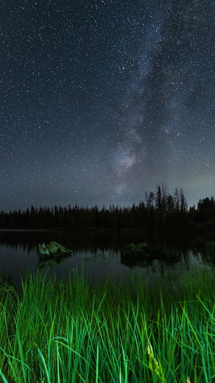 Awesome green Gras and stary Night
