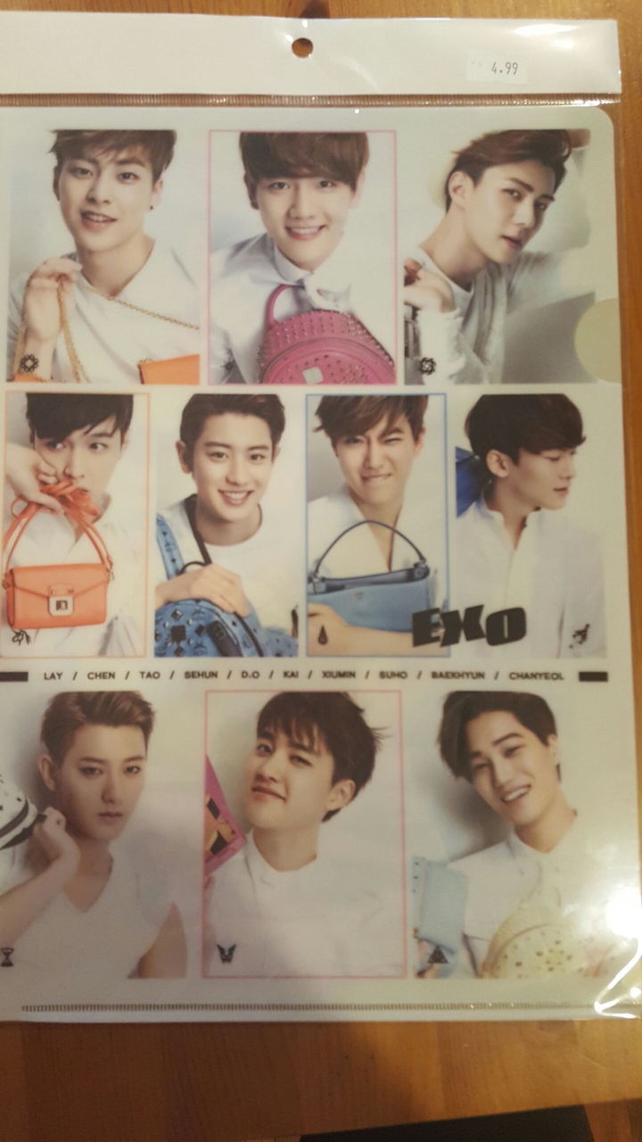 EXO  korean boy band