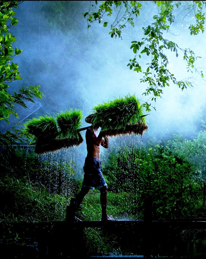Hard worker ..