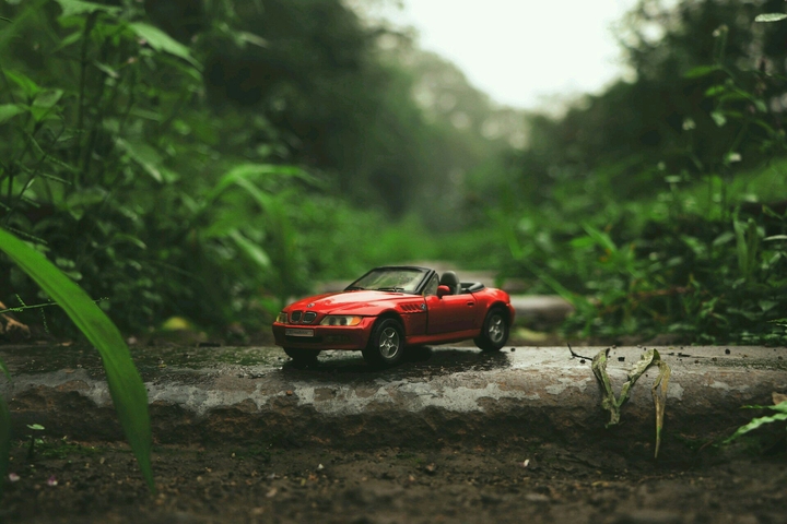 toy love