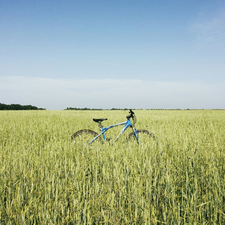 velo