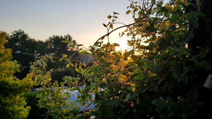 magical sunset