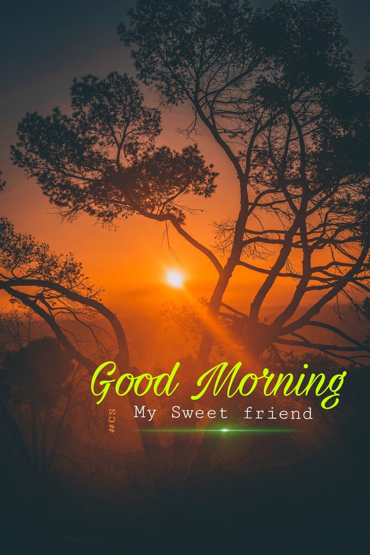 Good Morning
