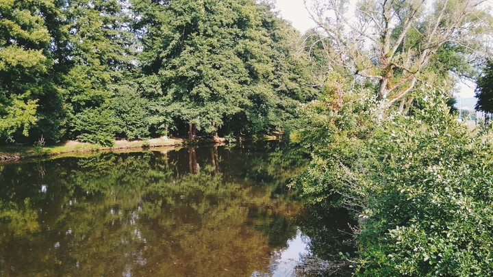 Saint Die-Des Vosges in Mini island