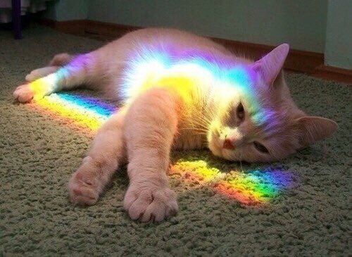 sleep time