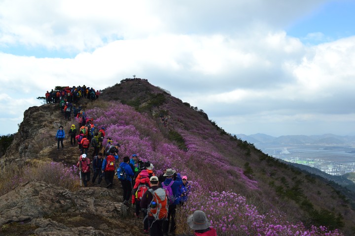 영취산이미지