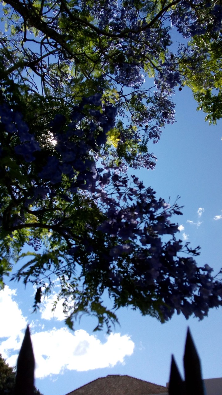 natureza