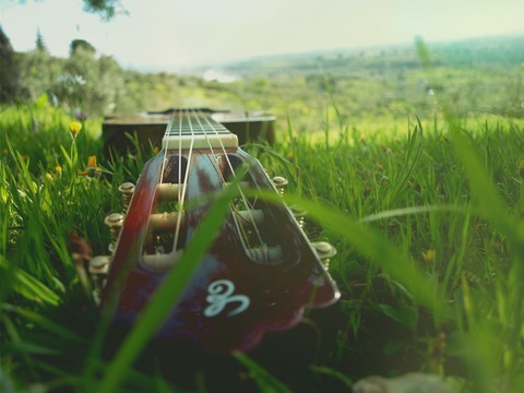 feel the nature