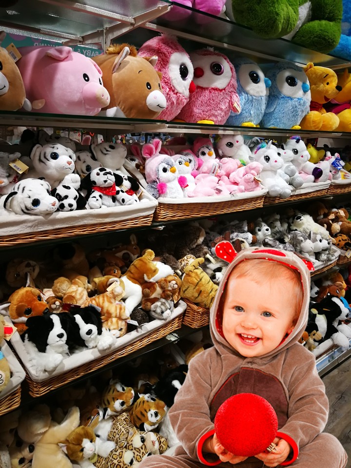 Teddy STOFFED_TOY