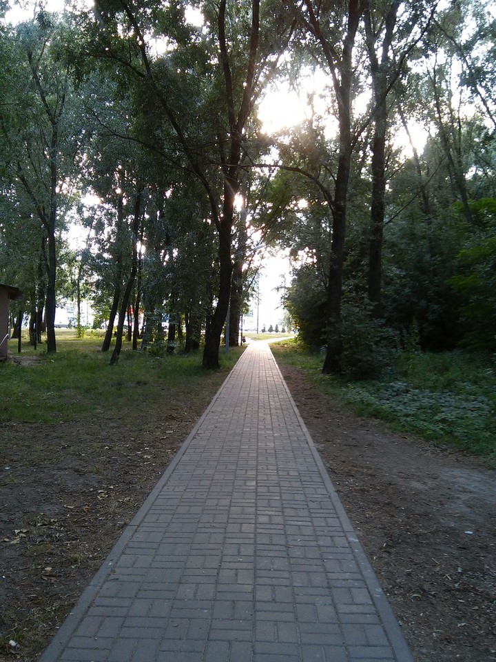 Дорога