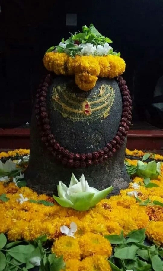 Happy Naagpanchami