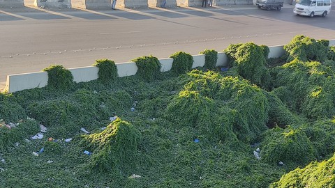 green in road
