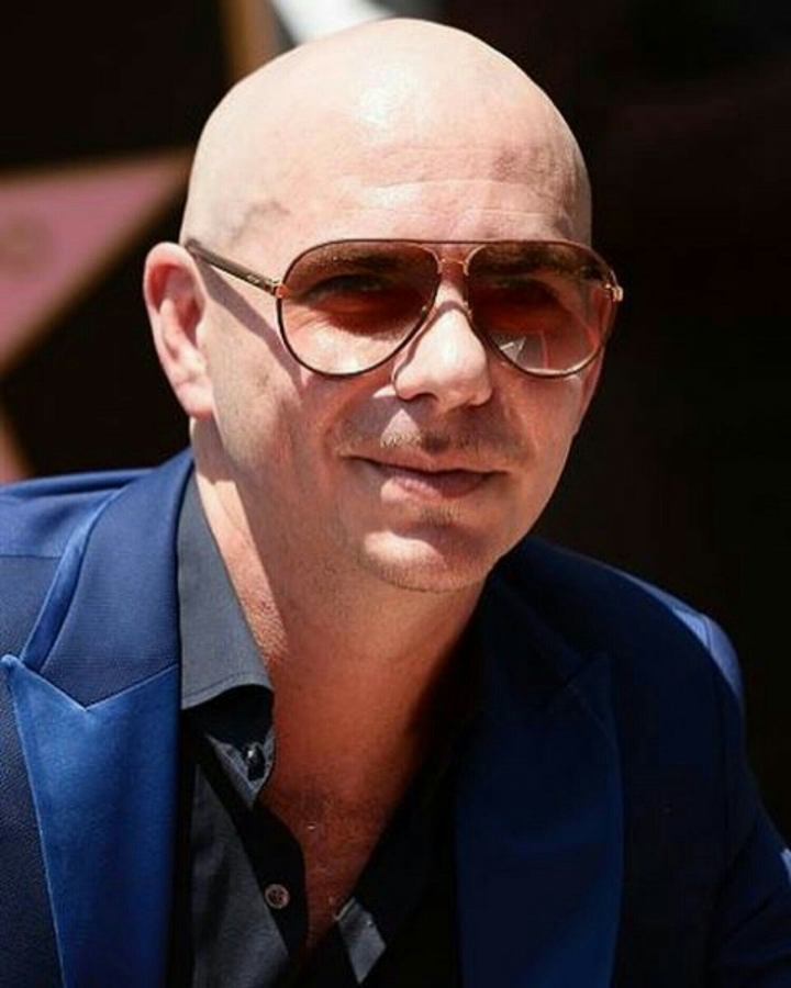pitbull