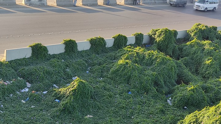 green in road