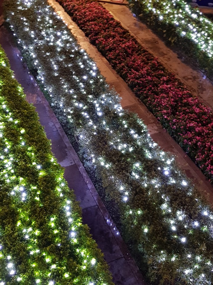 LED