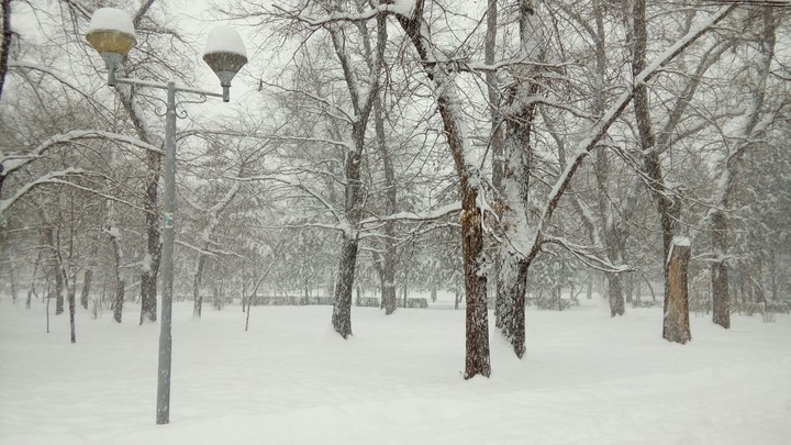 #winter****