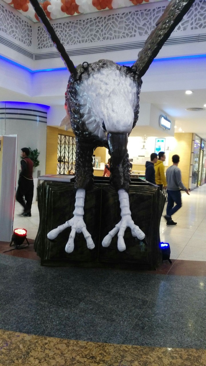 eagle