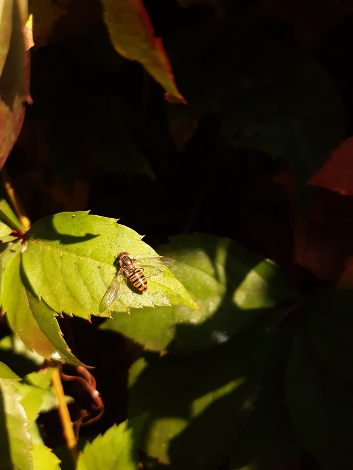 Hello, little fella!