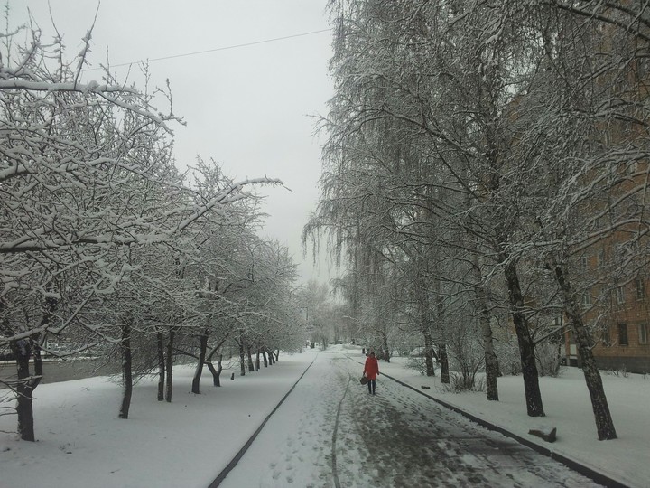снег... город...