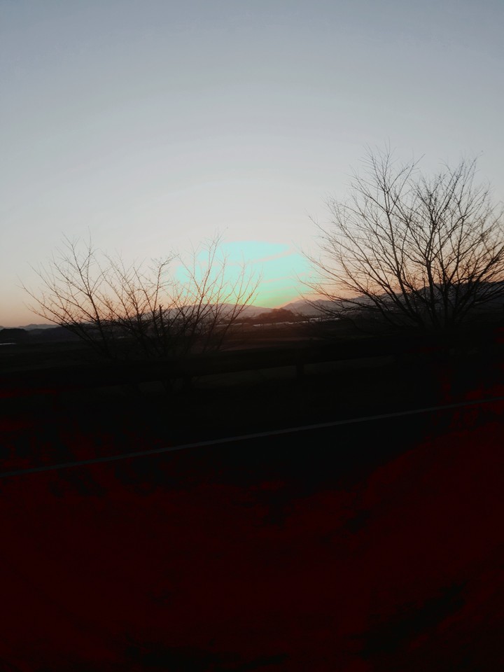 at dawn
