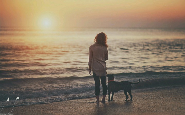 love Sunset