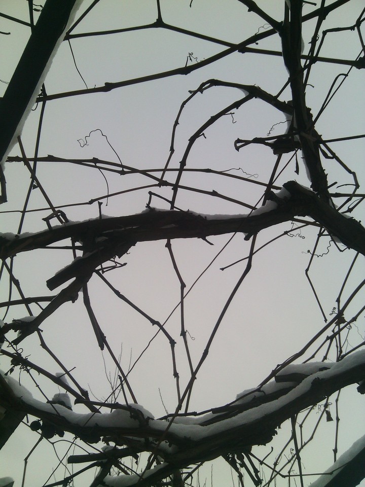 snow 