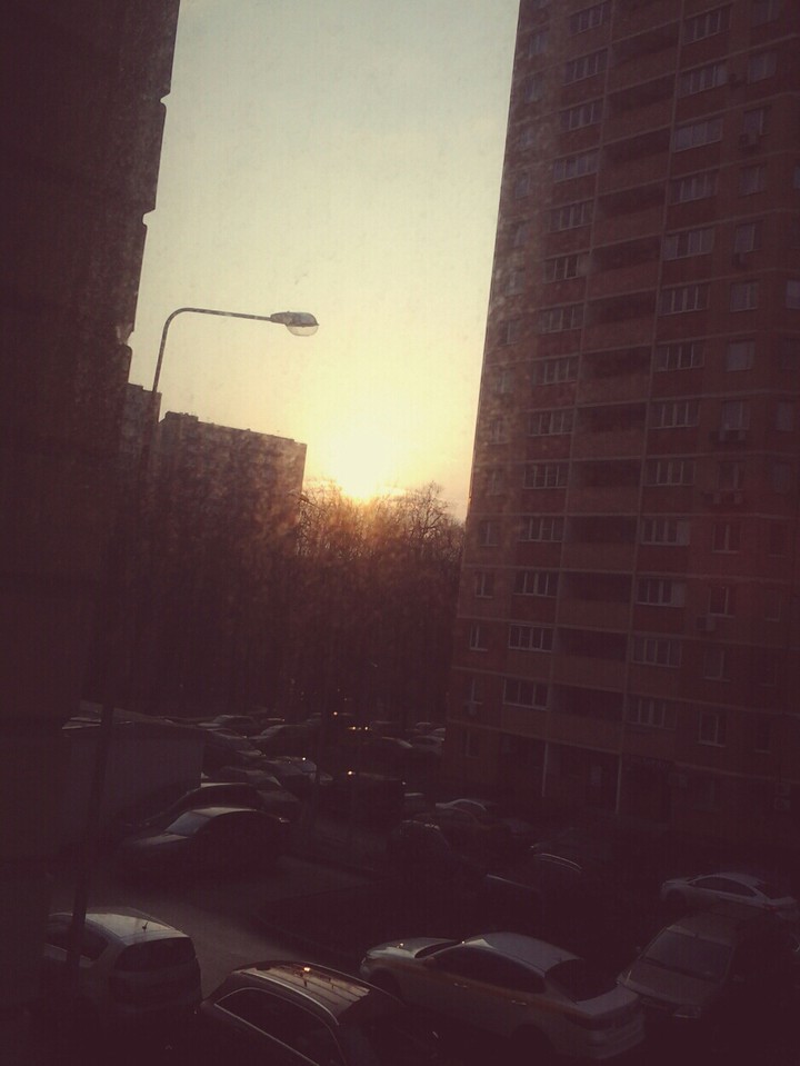 8 мартв