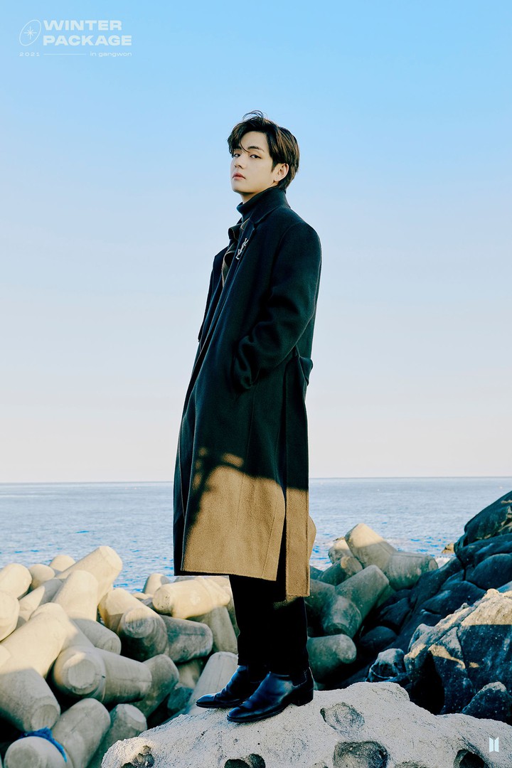 Bts V