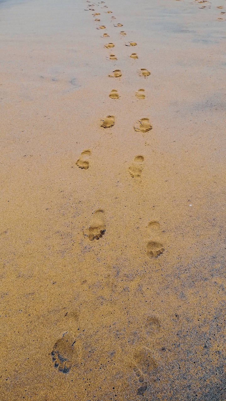 Footprints at the Beach