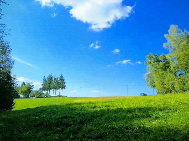 nature