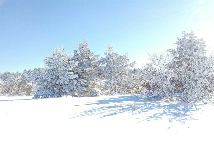 Русская краса