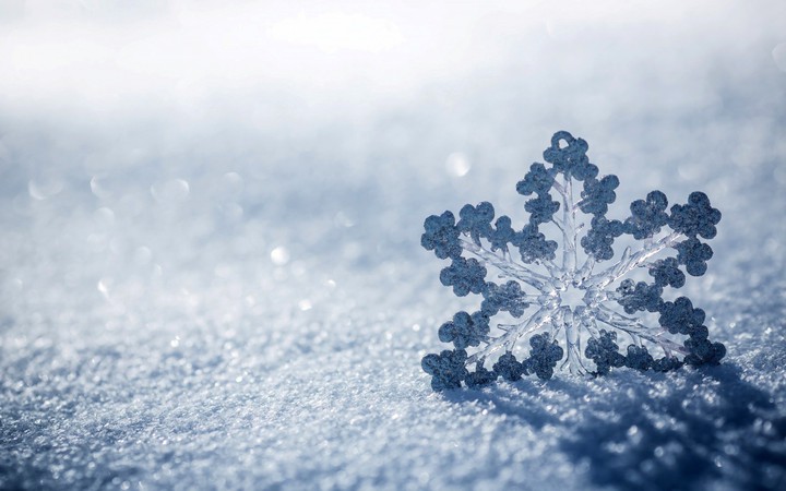 snowflake ❄️