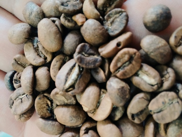 Coffee Bean