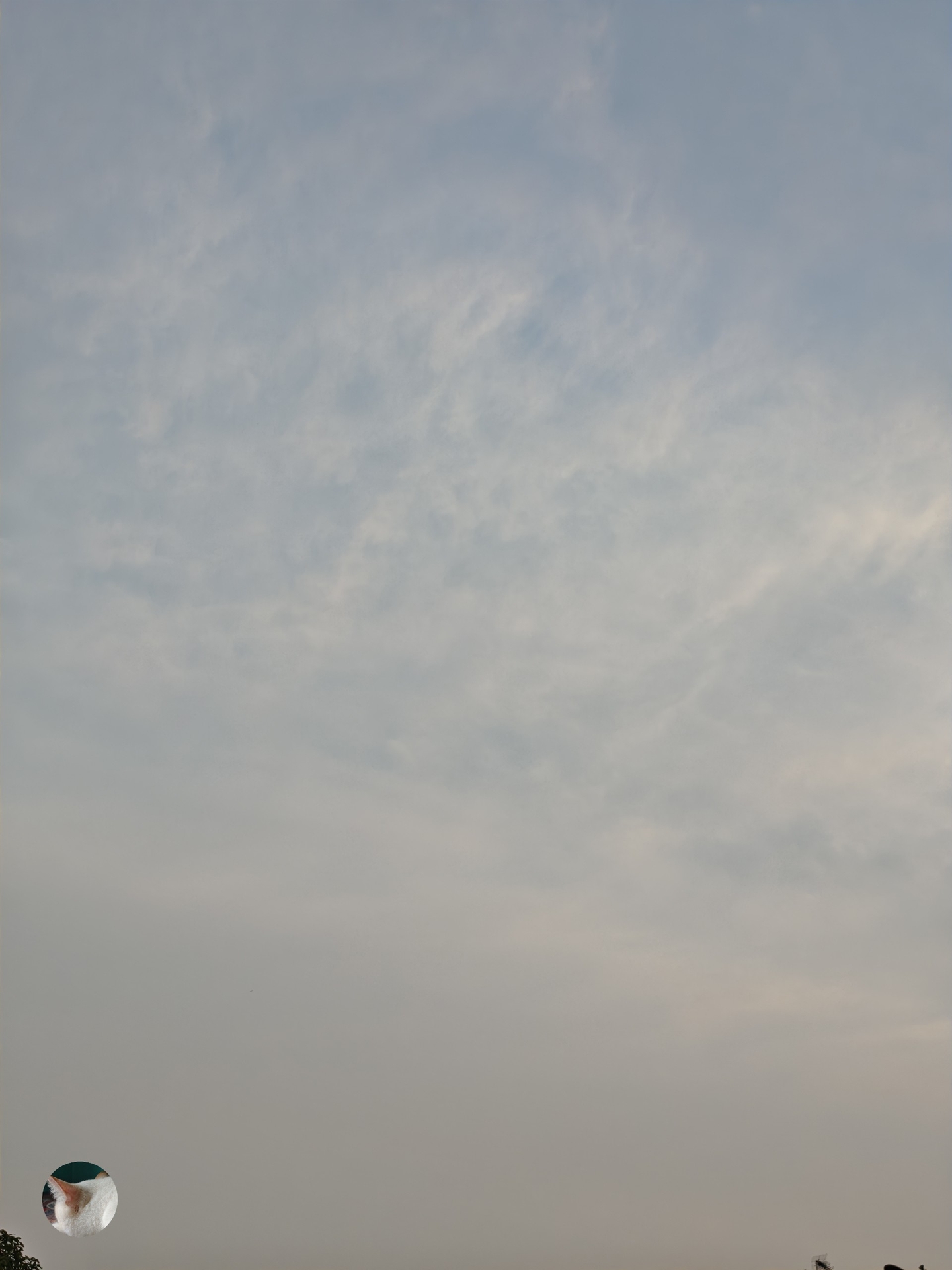 sky, aerostat Hintergrundbilder