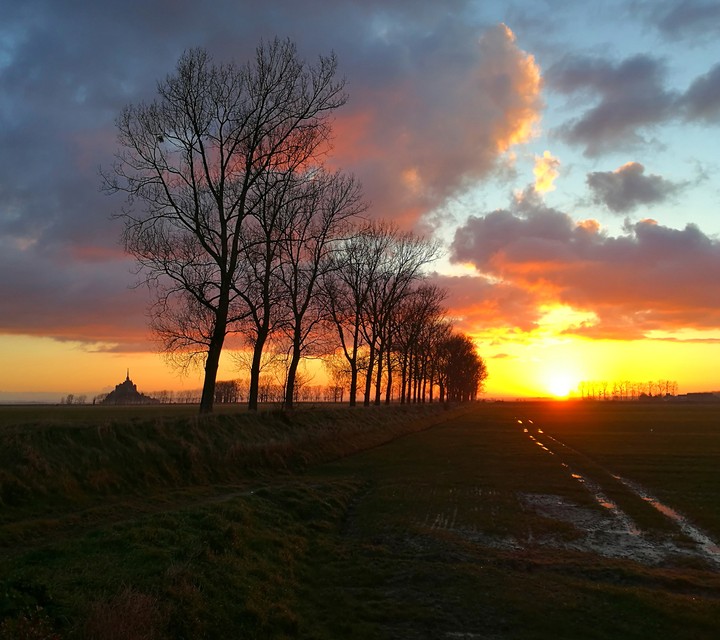 słonko