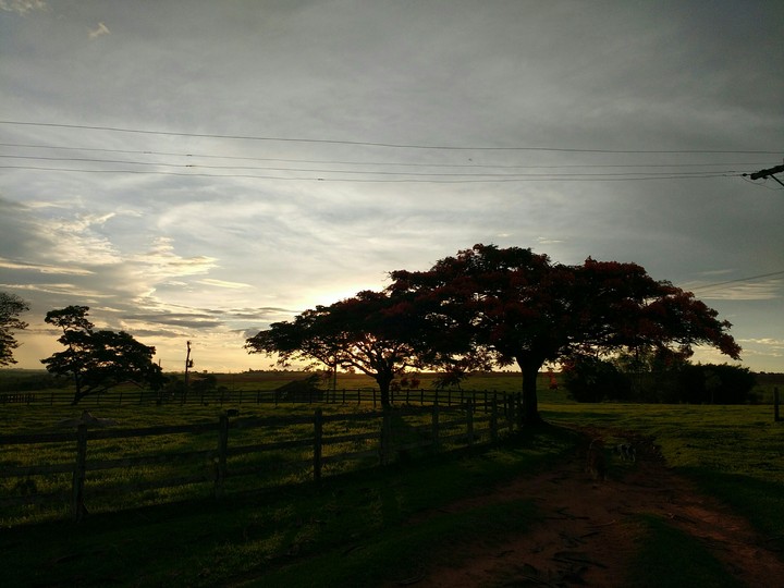 Final de Tarde