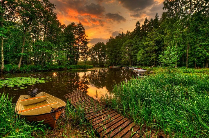 Nature