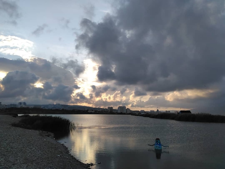 Лиман