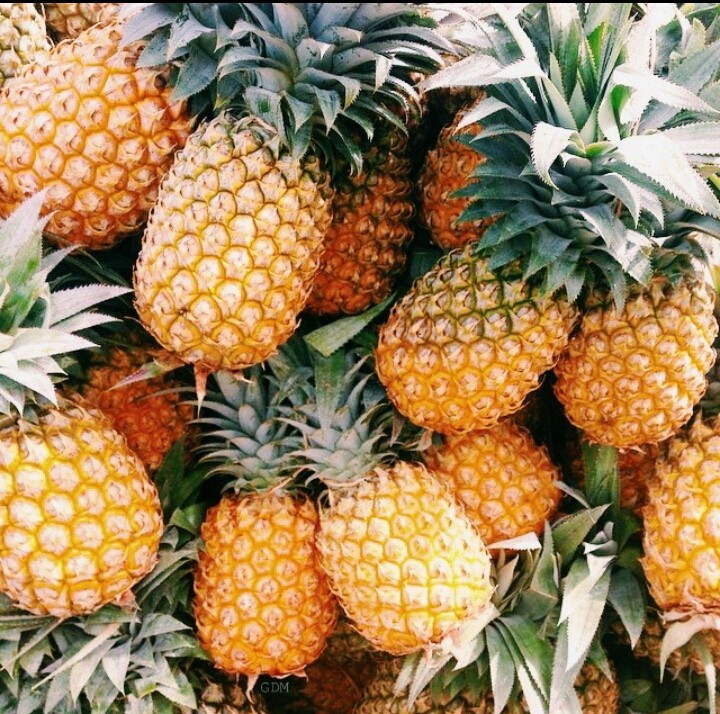 juicy fruity