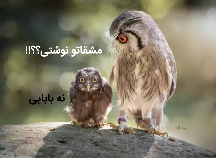داستان مهر ماه 