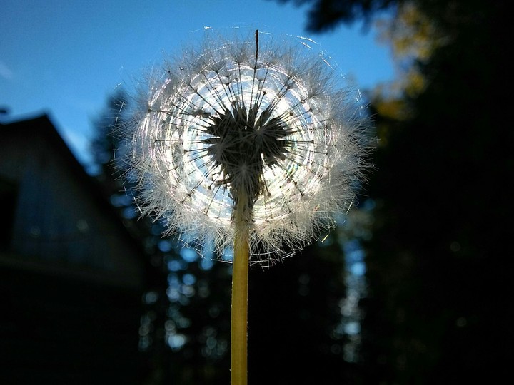 summer is very good time.