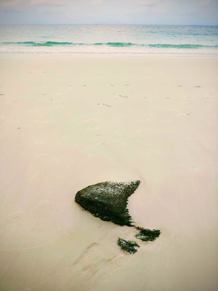 Just a rock, on the beach