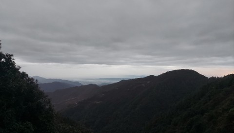 landscapes, tree桌布