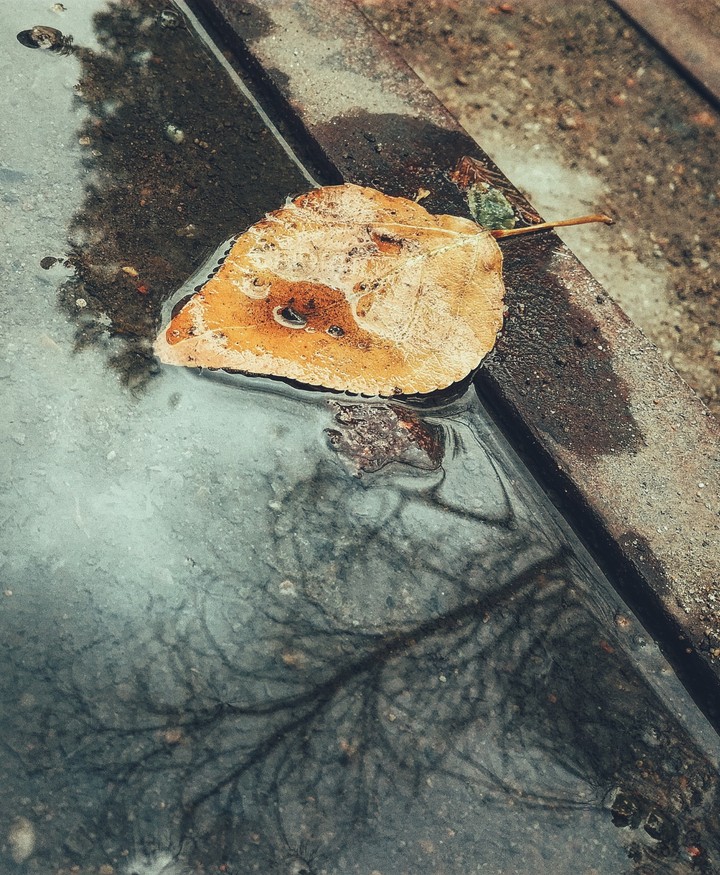 Autumn