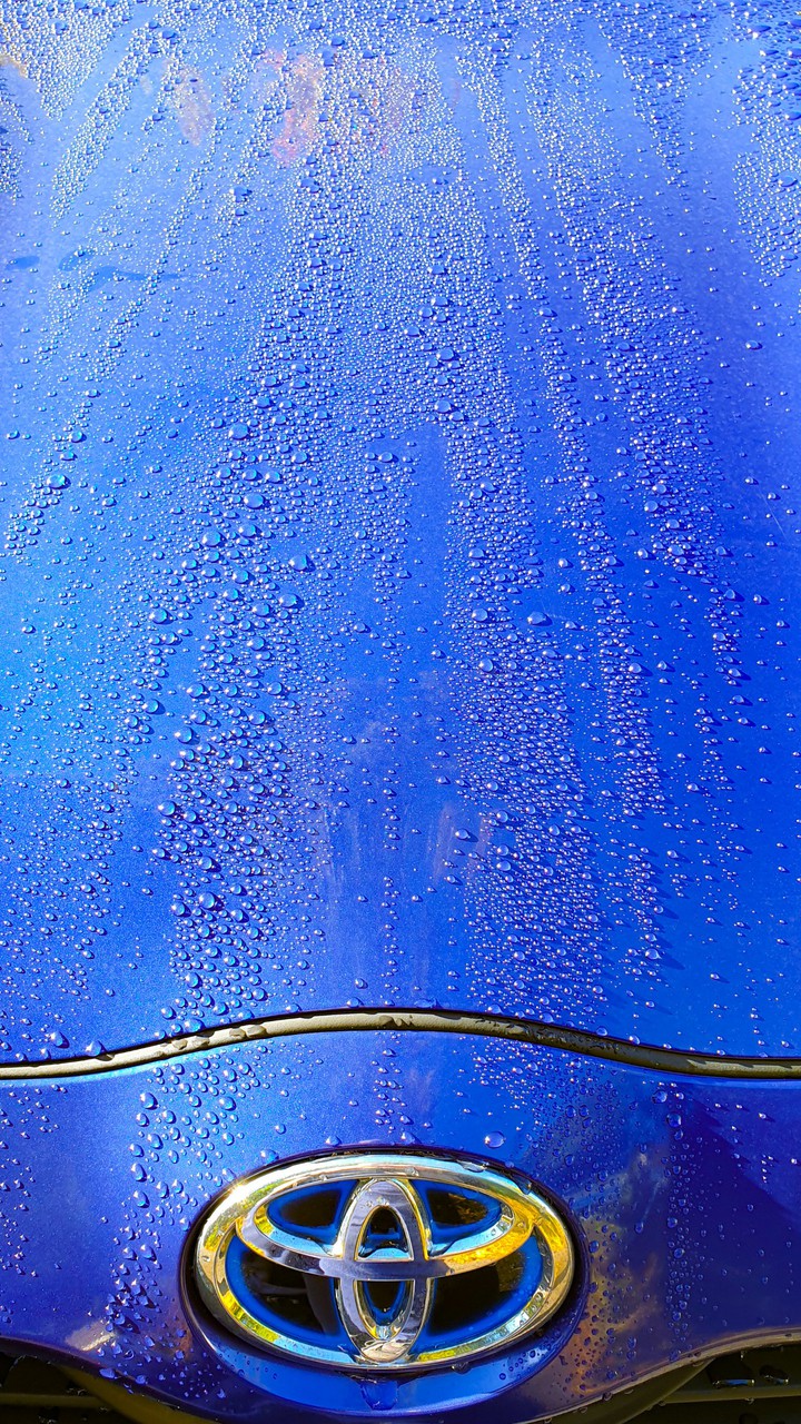 My Blue Yaris in THE rain