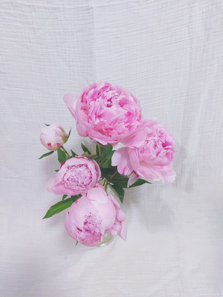 pink flower